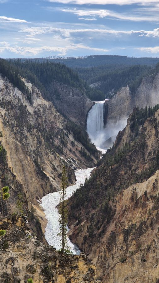 הגראנד קניון של ילוסטון